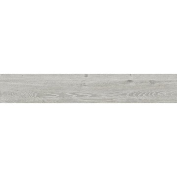 ΠΛΑΚΑΚΙ AUSTRAL GRIS RETT 20x120