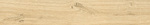 ΠΛΑΚΑΚΙ LEGNO CREMA RETT 19.5x120