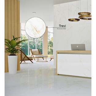 ΠΛΑΚΑΚΙ TREVI PULIDO RETT 60x120