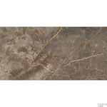 ΠΛΑΚΑΚΙ MANHATTAN EARTH PULIDO RETT 60x120