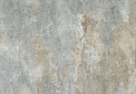 ΠΛΑΚΑΚΙ AMAZONIA FOREST 45x65