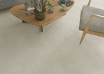 ΠΛΑΚΑΚΙ PLANET BONE RETT 75.5x151