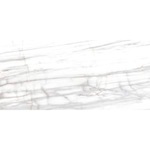 ΠΛΑΚΑΚΙ VENATO WHITE PULIDO 120x260