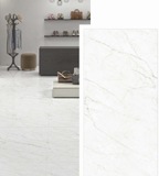 ΠΛΑΚΑΚΙ THASSOS CARRARA RETT 60x120