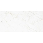 ΠΛΑΚΑΚΙ TREVI NATURAL RETT 60x120